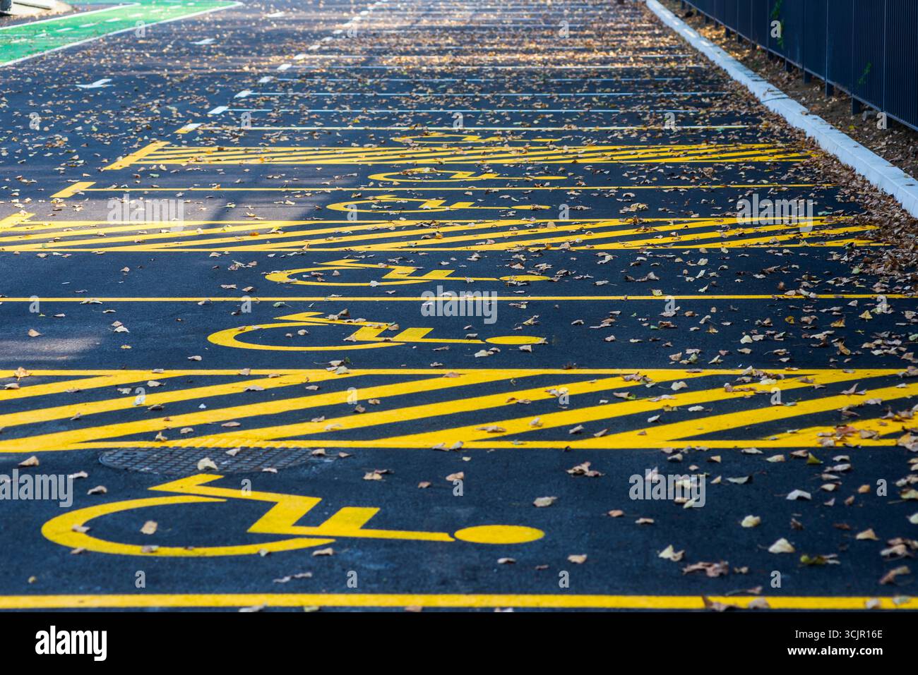Des places de parking fraîchement peintes pour les personnes handicapées à Belgrade, Serbie, marquées de symboles jaune vif sur de l'asphalte foncé, parsemées de feuilles d'automne Banque D'Images