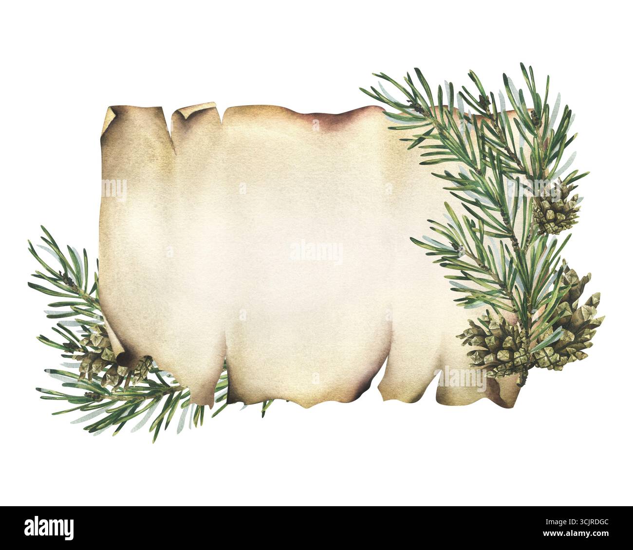 Modèle de Noël vintage avec des branches d'épinette et des pommes de pin sur papier de défilement vieilli, conception rustique de vacances, illustration aquarelle peinte à la main, cadre Banque D'Images