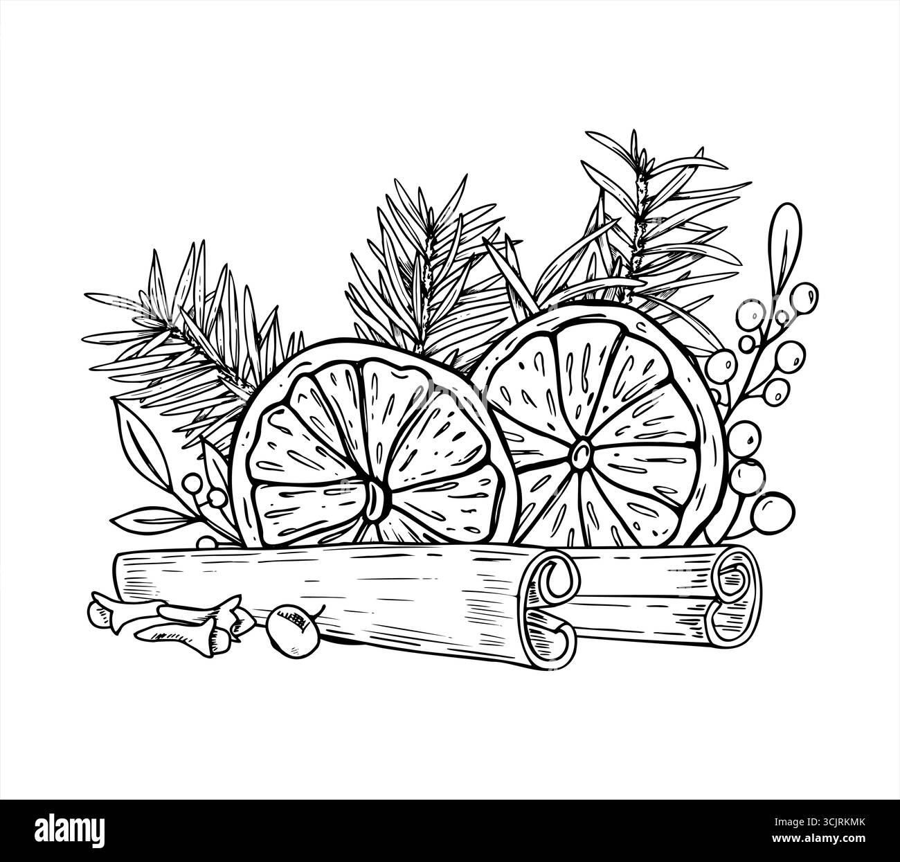Ingrédients de Noël pour le vin chaud parmi les branches d'épinette illustration isolée de vecteur. Tranches d'orange séchées, bâtonnets de cannelle, clous de girofle Illustration de Vecteur Ingrédients de Noël pour le vin chaud parmi les branches d'épinette illustration isolée de vecteur. Tranches d'orange séchées, bâtonnets de cannelle, clous de girofle Illustration de Vecteur