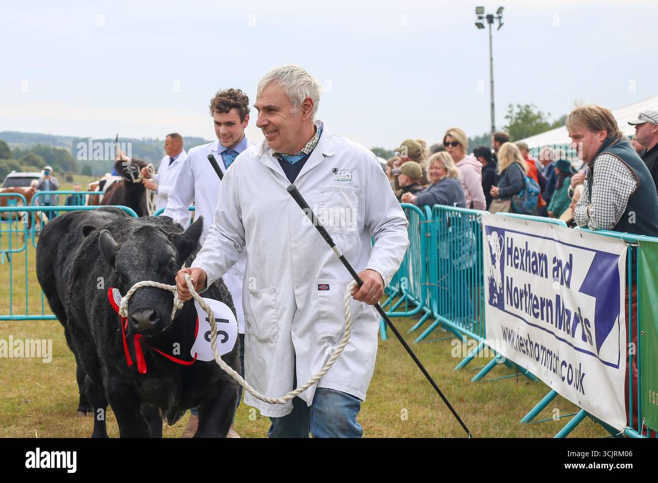 Exposition de bétail au 244e Wolsingham Show, comté de Durham 2025 Banque D'Images