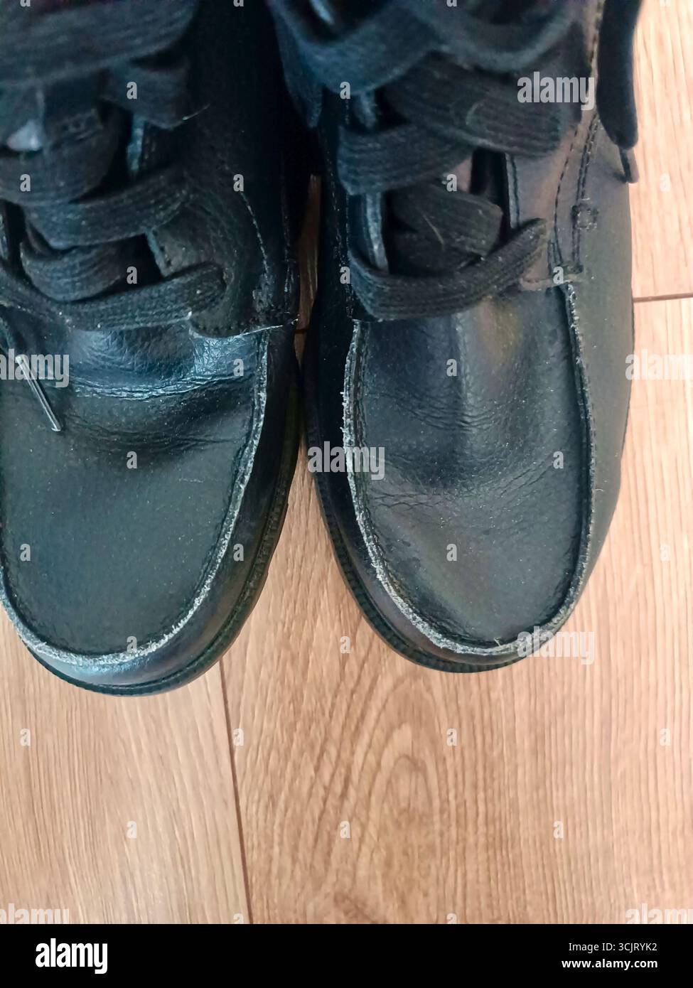 Une paire élégante de chaussures noires est assis gracieusement sur un plancher en bois Banque D'Images