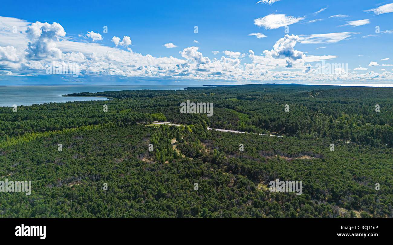 Vue aérienne de la zone boisée dans le parc national de Curonian Spit près de Nida entre la mer Baltique et la lagune de Curonian en Lituanie Banque D'Images