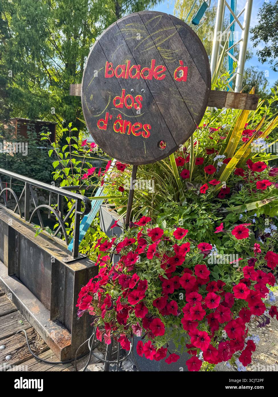 Panneau décoratif en bois indiquant 'balade a dos d'ânes' (Donkey Back Ride) monté sur un poteau métallique, entouré de fleurs colorées dans un jardin extérieur. Banque D'Images