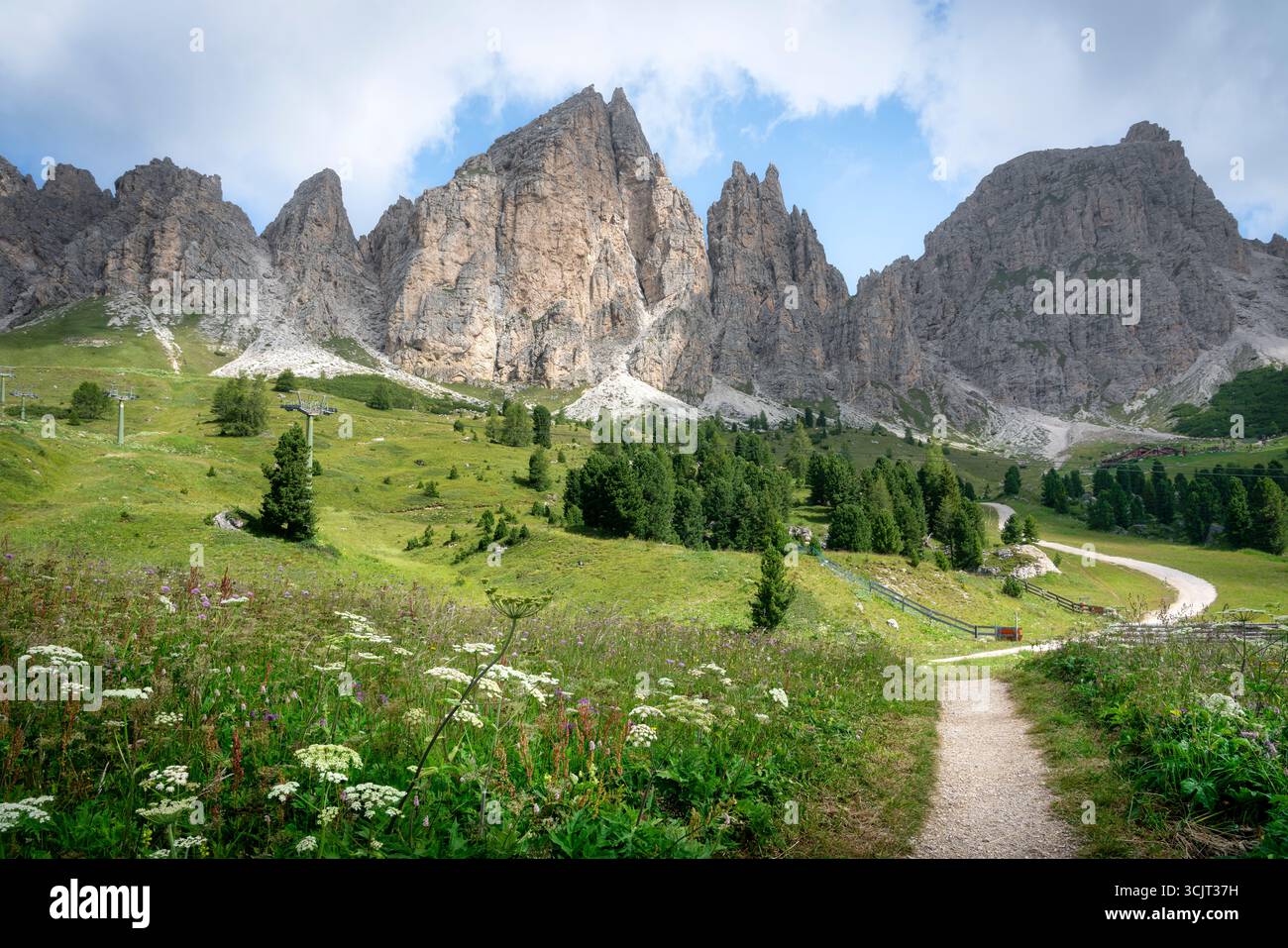Sentier de randonnée pittoresque avec clôture en bois menant à des pics calcaires spectaculaires à travers des prairies alpines verdoyantes à Passo Gardena, Dolomites, région du Tyrol du Sud Banque D'Images