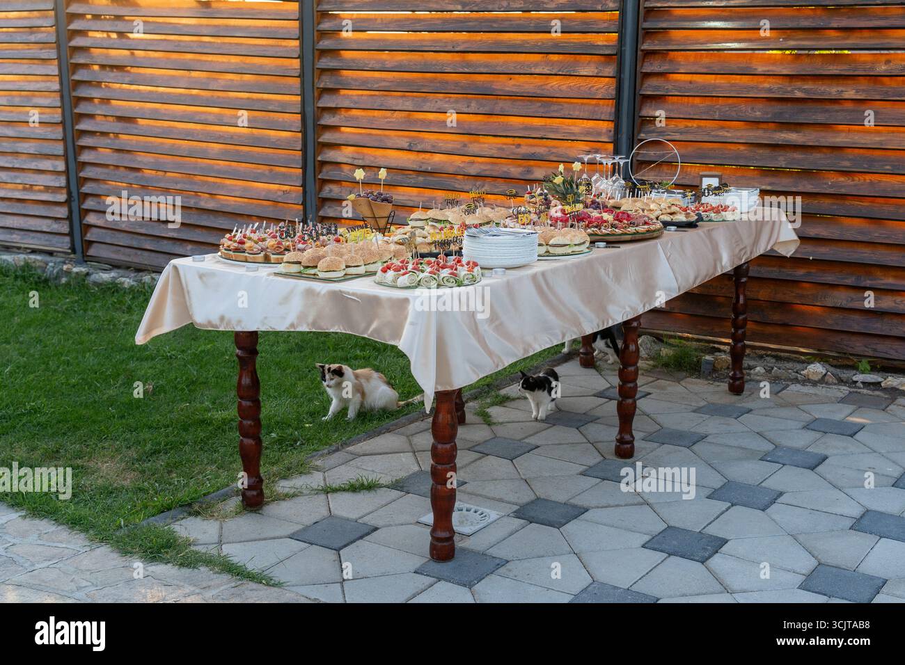 Invités non invités – chats errants affamés au Feast. Banque D'Images