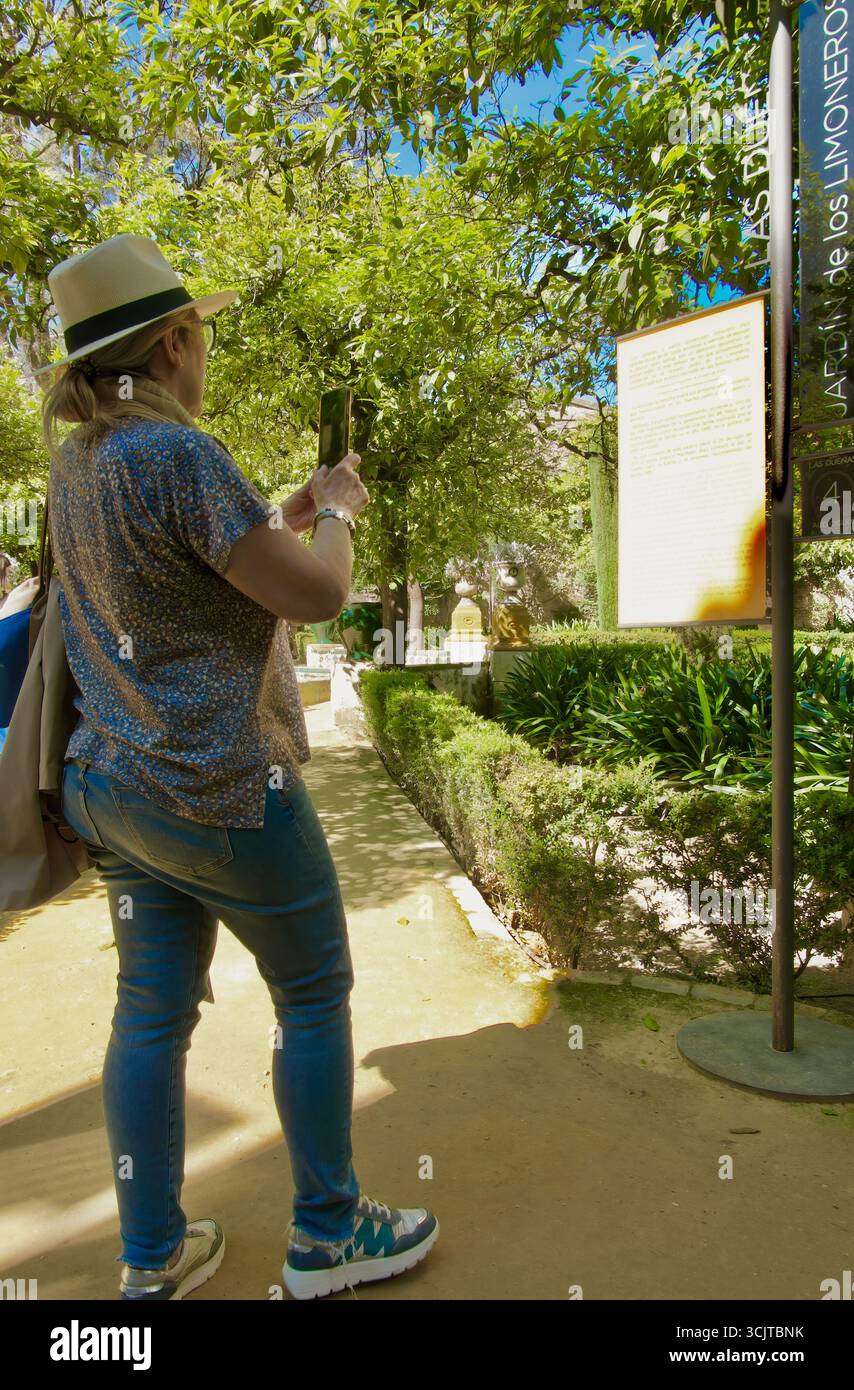 Touriste prenant une image mobile d'un panneau d'information dans les jardins Palacio de las Dueñas Maison d'Alba Séville Andalousie Espagne Europe Banque D'Images