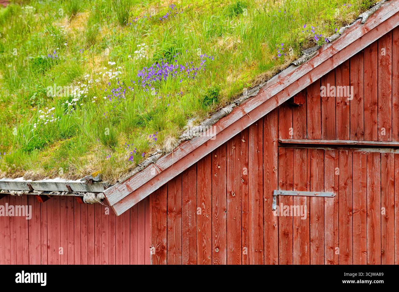 Des fleurs sauvages vibrantes fleurissent sur le toit herbeux d'un bâtiment rustique en bois rouge dans un cadre rural pittoresque, mettant en valeur un design durable. Banque D'Images