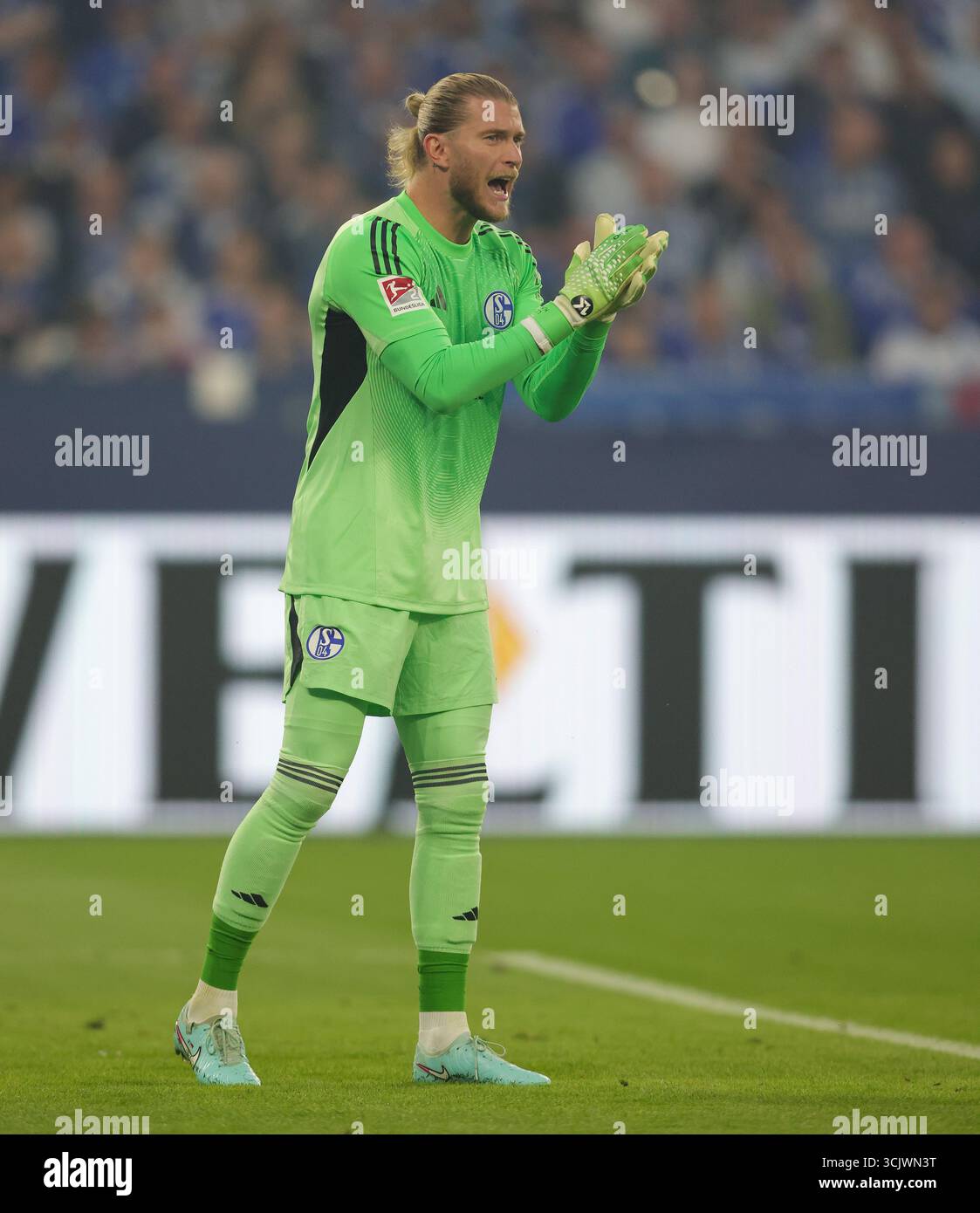 Schalke, Deutschland. 23 août 2025. firo : 23/08/2025, Football : 2ème Bundesliga FC Schalke 04 - VfL Bochum gardien Loris Karius du FC Schalke 04 Goalwart gestes geste crédit : dpa/Alamy Live News Banque D'Images