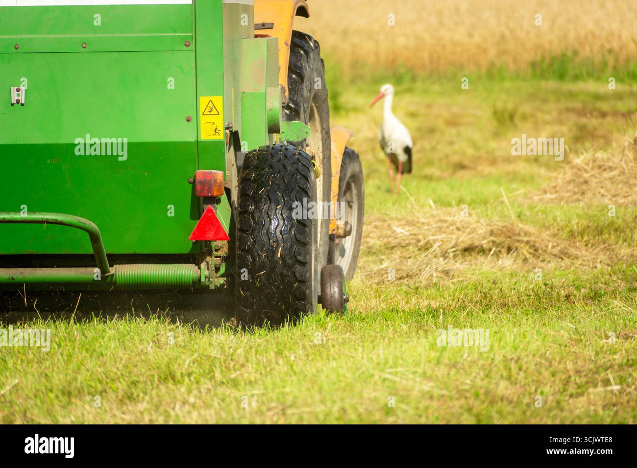Arrière d'une machine de presse à foin avec un tracteur dans un pré et une cigogne debout, jour d'été Banque D'Images