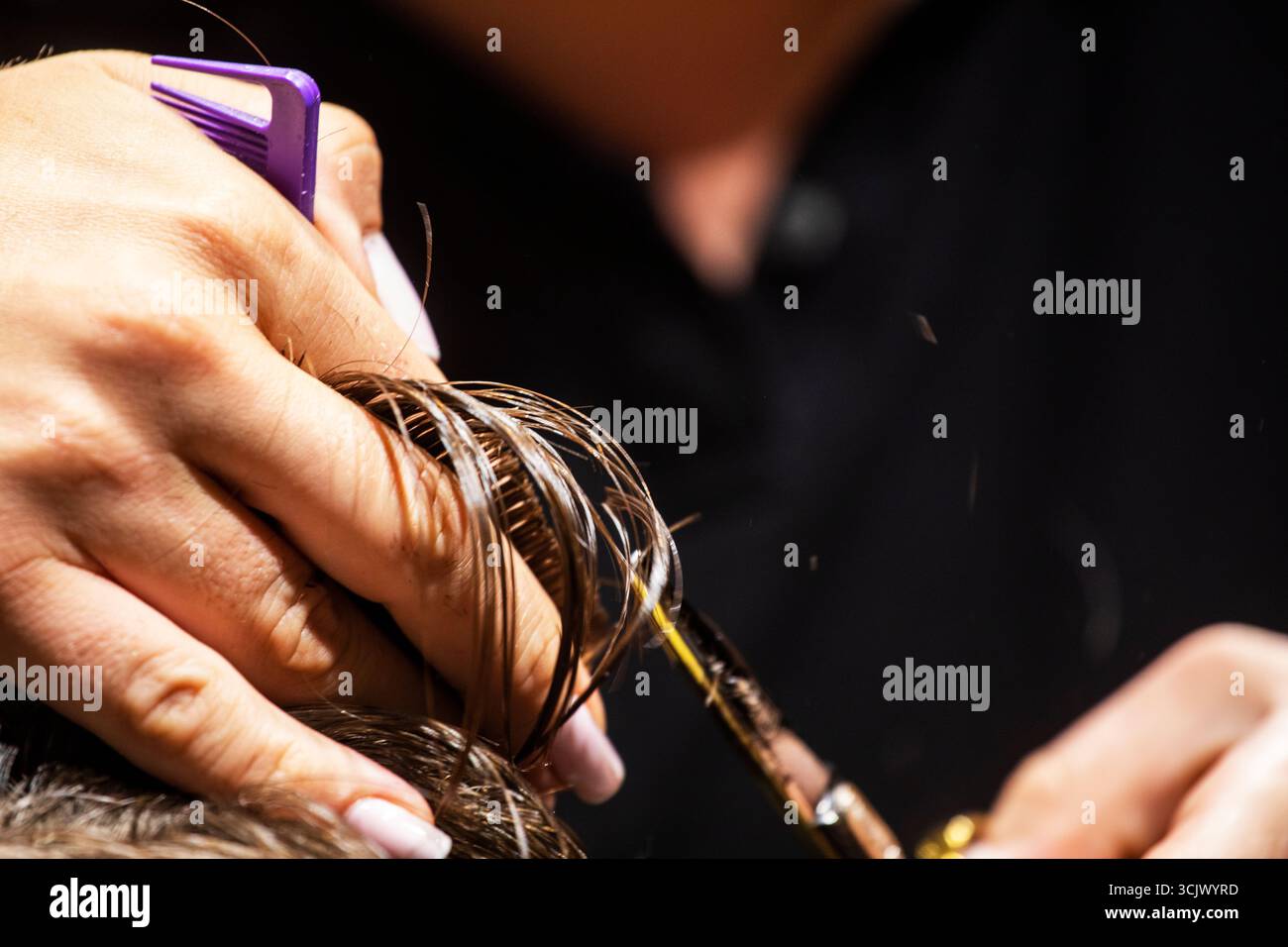 coiffeur coupe soigneusement les cheveux en sections avec des ciseaux, créant une forme Banque D'Images
