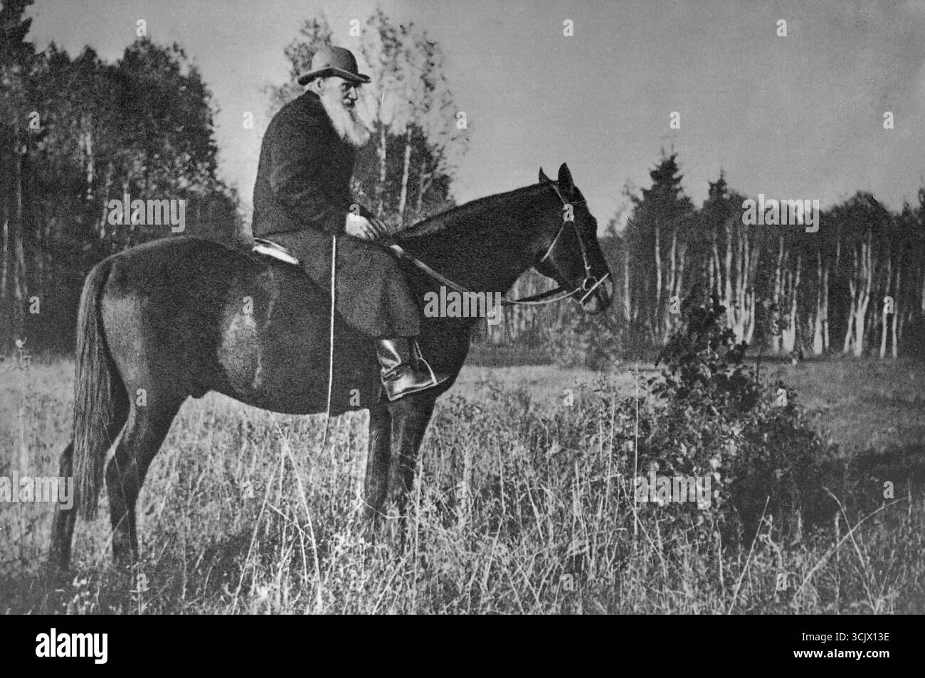 Romancier russe Leo Tolstoï avec son cheval préféré Delir, Yasnaya Polyana, Russie 1909 Banque D'Images