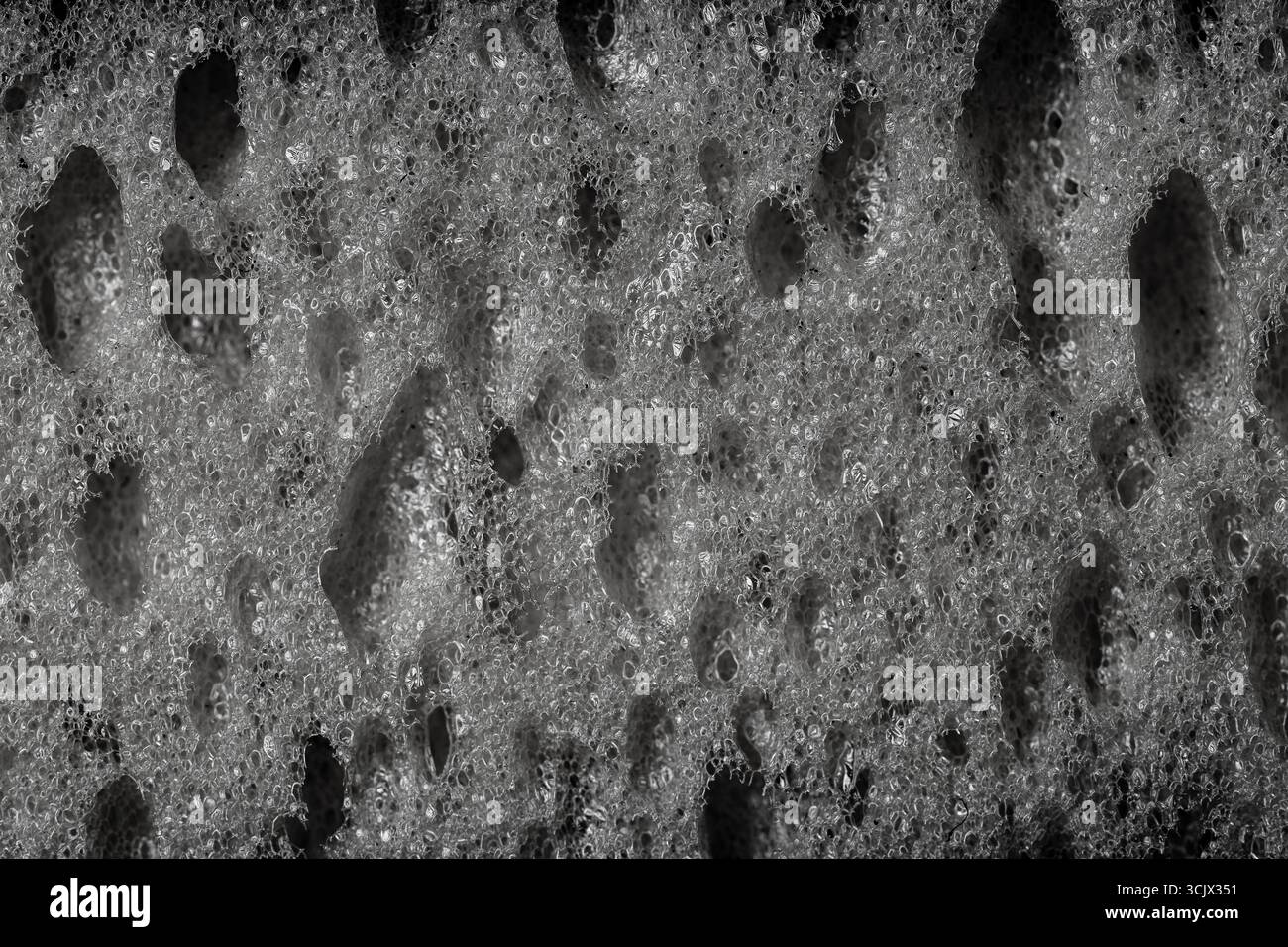 Détail d'une éponge, de texture texture éponge close up l'arrière-plan. Éponge en cellulose de texture. Le noir et blanc Banque D'Images