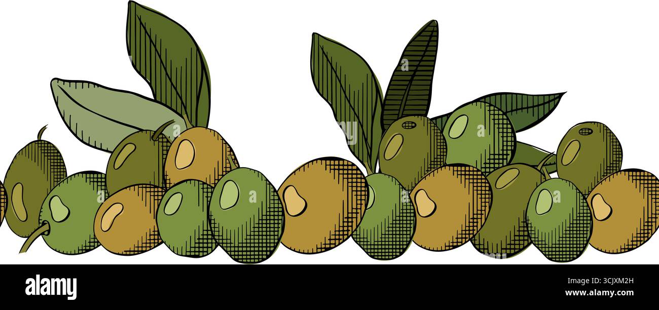 Baie d'olive avec feuilles bordure horizontale sans couture. Illustration vectorielle en couleur à l'encre de la ligne graphique. Design d'emballage méditerranéen Vintage pour tissu, k Illustration de Vecteur
