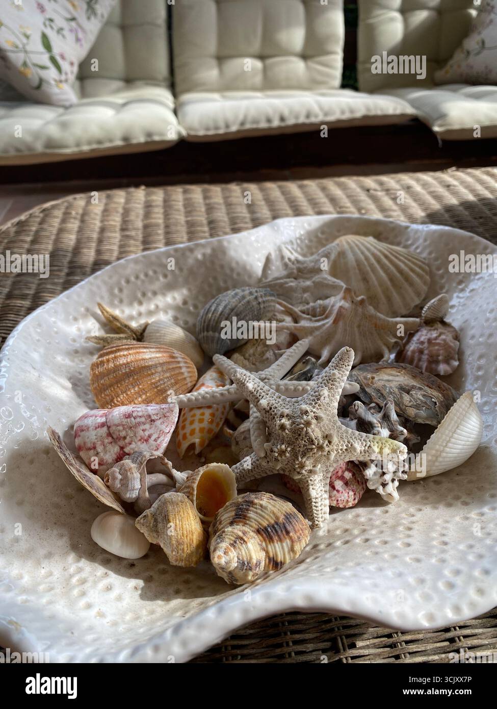 Divers coquillages et étoiles de mer sont disposés sur une plaque en céramique blanche, ajoutant une touche de style marin à une table à Pineto, dans les Abruzzes, en Italie Banque D'Images