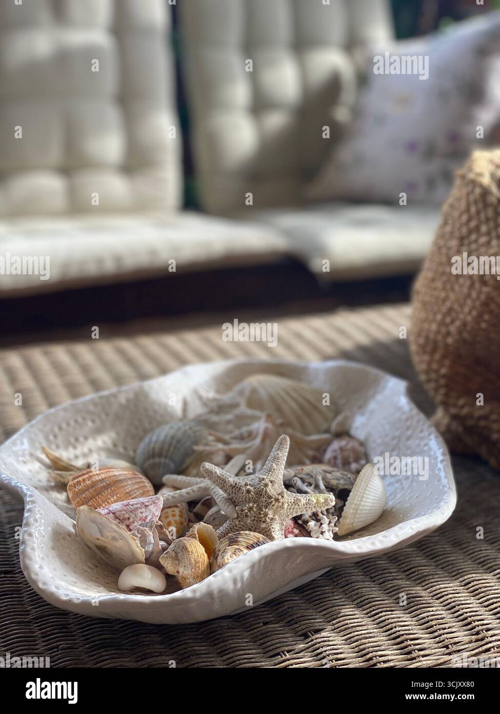 Divers coquillages et étoiles de mer créent une charmante pièce maîtresse dans un bol en céramique blanche, évoquant une atmosphère côtière relaxante à Pineto, en Italie Banque D'Images