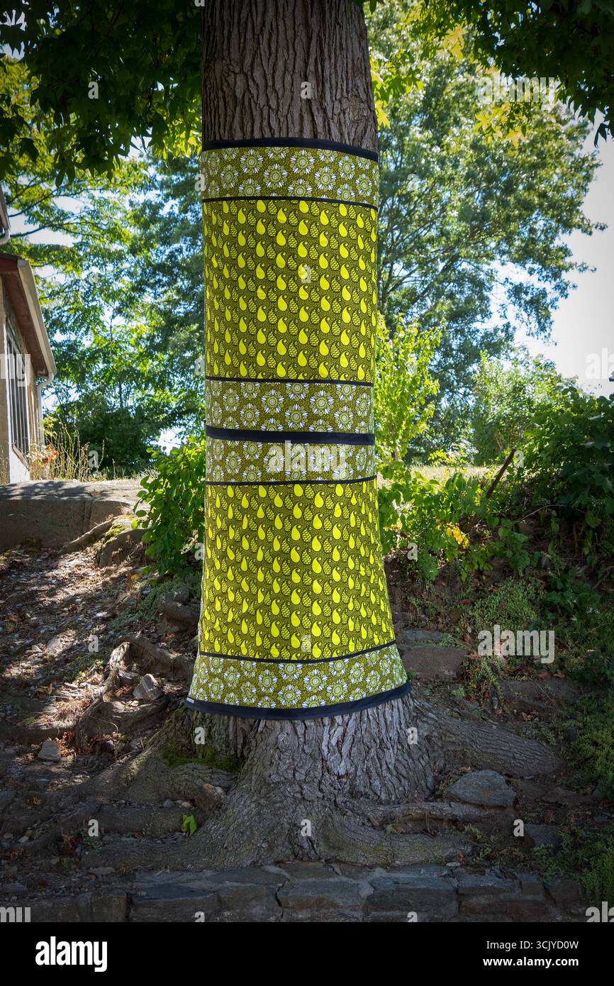 Un arbre enveloppé dans un tissu tanzanien Konga, utilisé en Afrique de l'est pour les vêtements, les couvre-têtes, tabliers, porte-pots, etc À Wakanda 2025. Banque D'Images