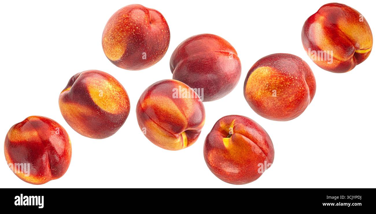 Nectarines tombantes isolées sur fond blanc, pleine profondeur de champ Banque D'Images