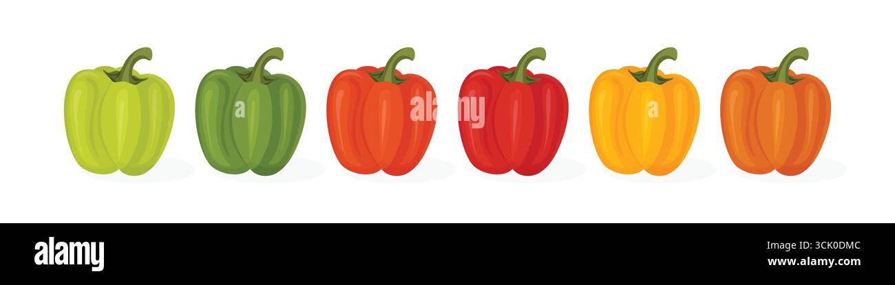 Poivron doux ensemble dans différentes couleurs illustration vectorielle isolé sur fond blanc. Illustration de Vecteur