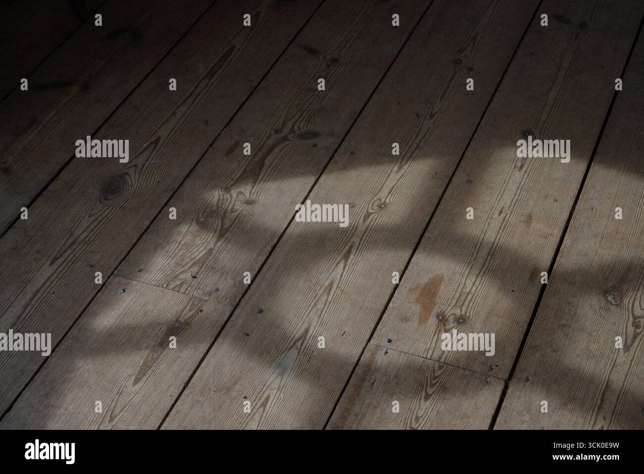 Planchers en bois naturel éclairés par le soleil Banque D'Images