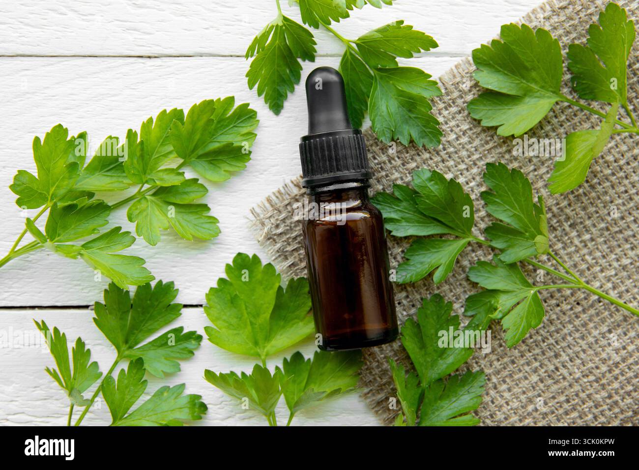 Teinture médicinale à base de plantes maison à base de persil (Petroselinum crispum). Composition pour flacon pipette à feuilles vertes et marron. Planche en bois blanc. Banque D'Images