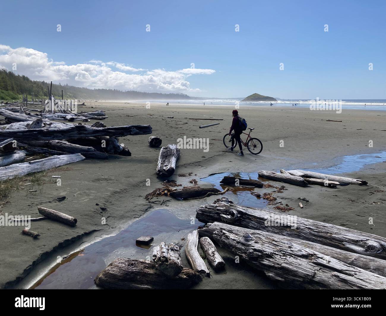 Long Beach, parc national Pacific Rim, Tofino, île de Vancouver, Colombie-Britannique, Canada - Image de stock capturée avec un smartphone