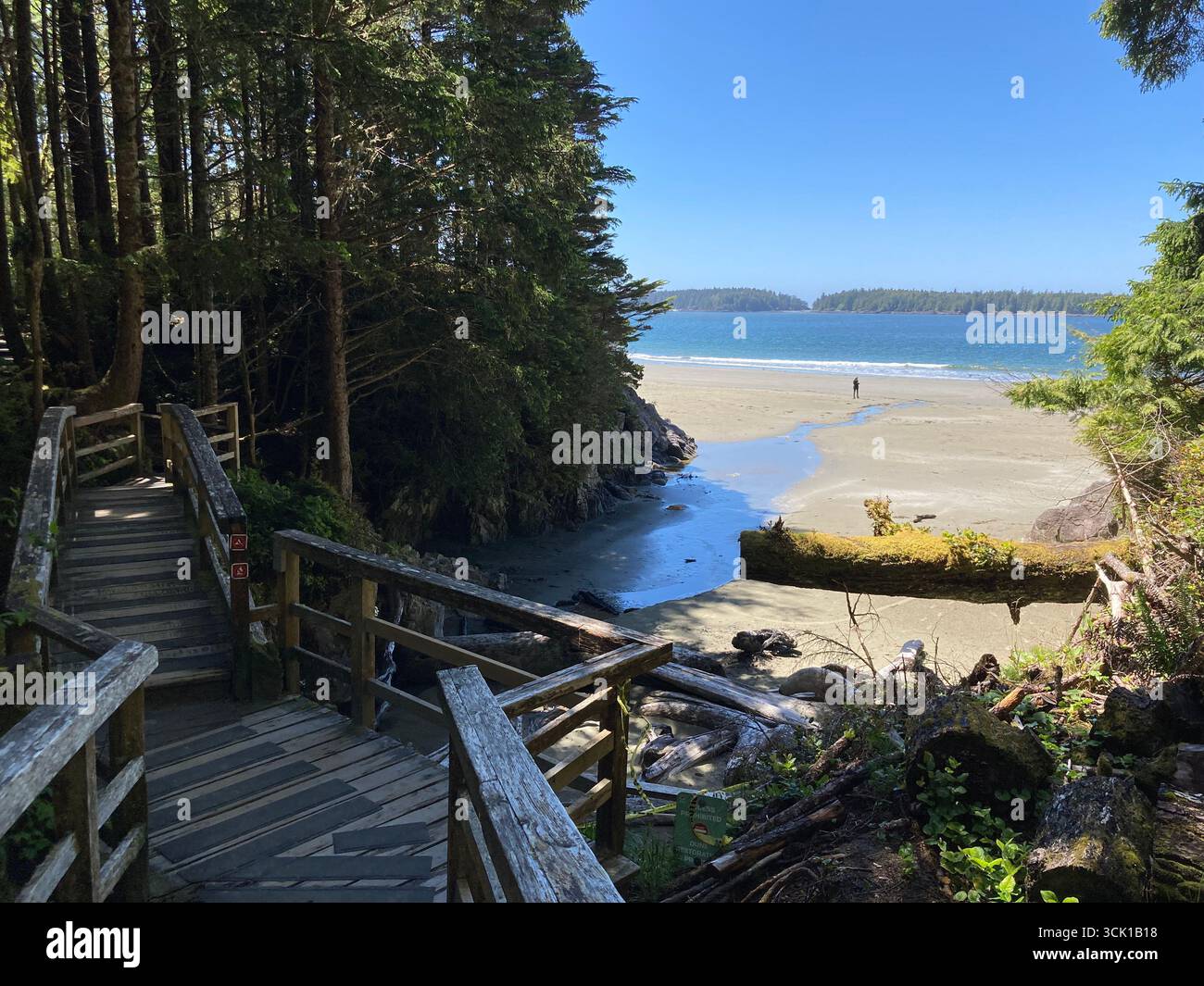 Promenade en bois menant jusqu'au rivage sablonneux de Tonquin Beach entouré de forêt pluviale à Tofino, île de Vancouver, Colombie-Britannique. Banque D'Images