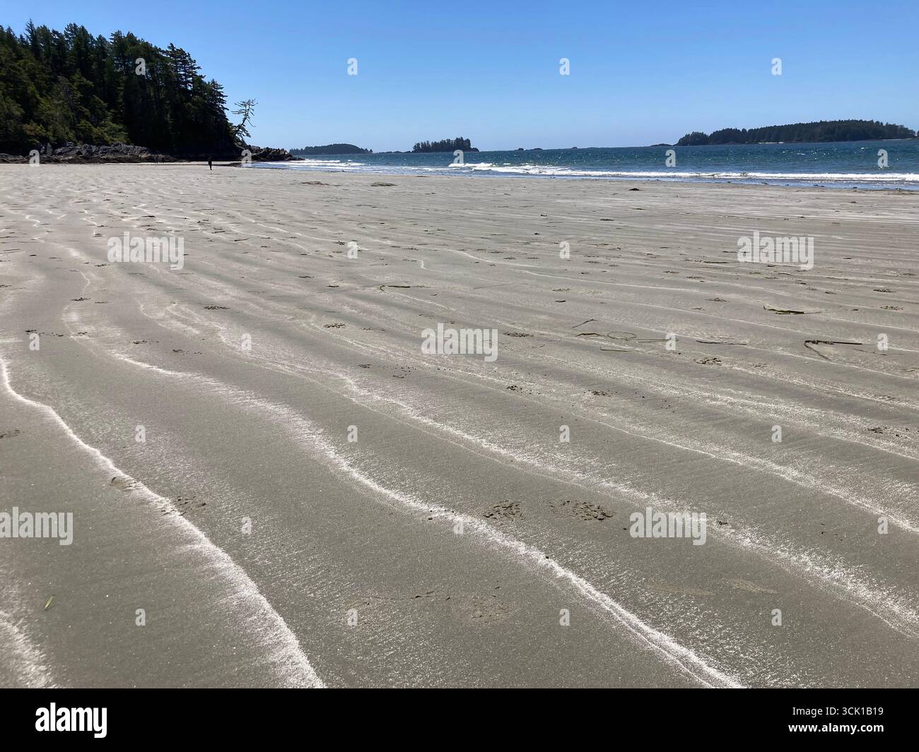 Plage Tonquin, Tofino, Île de Vancouver, Colombie-Britannique, Canada Banque D'Images