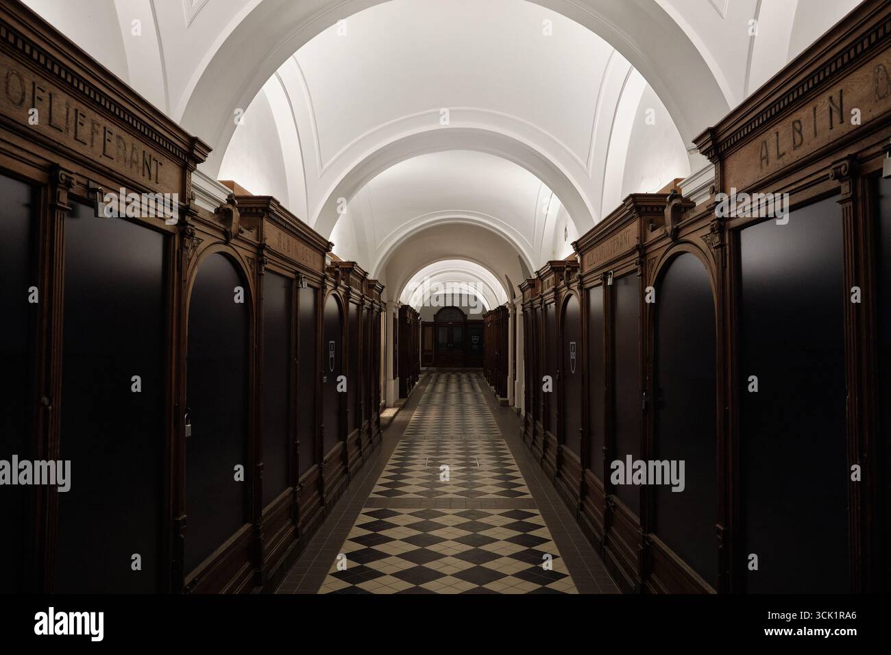 Vue horizontale d'un couloir voûté dans un bâtiment viennois historique avec étagères en bois sculpté, carrelage noir et blanc en diamant et blanc orné de blanc Banque D'Images