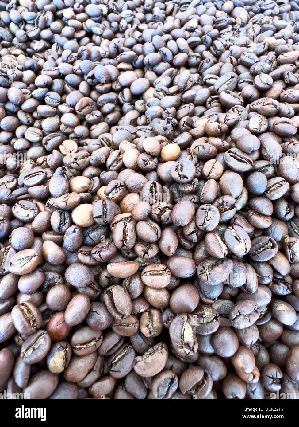 Une vue riche et macro de grains de café fraîchement torréfiés. Cette image capture la texture et les couleurs profondes et chaudes des haricots, évoquant le puissant aro - Image de stock capturée avec un smartphone
