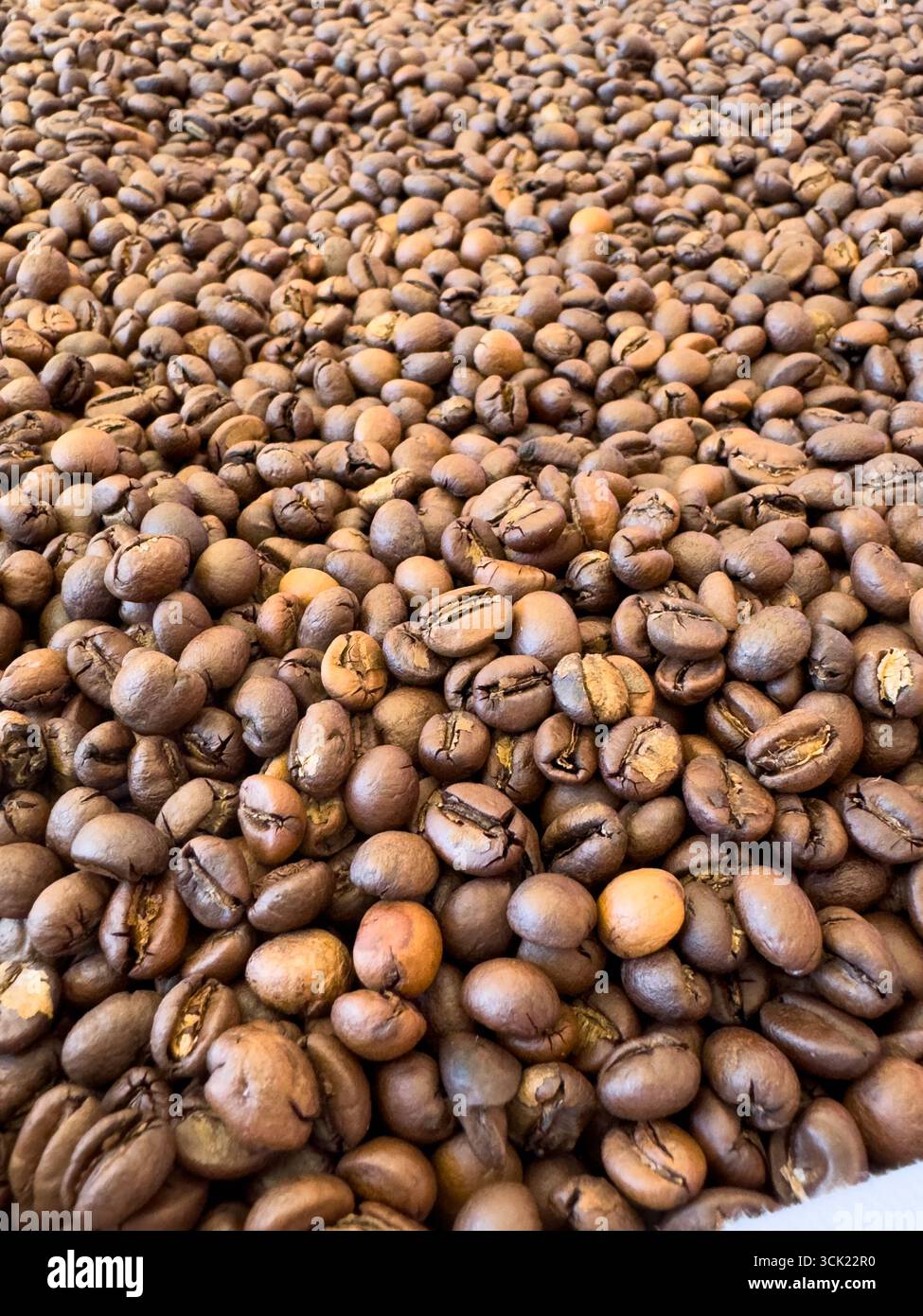 Une vue riche et macro de grains de café fraîchement torréfiés. Cette image capture la texture et les couleurs profondes et chaudes des haricots, évoquant le puissant aro - Image de stock capturée avec un smartphone