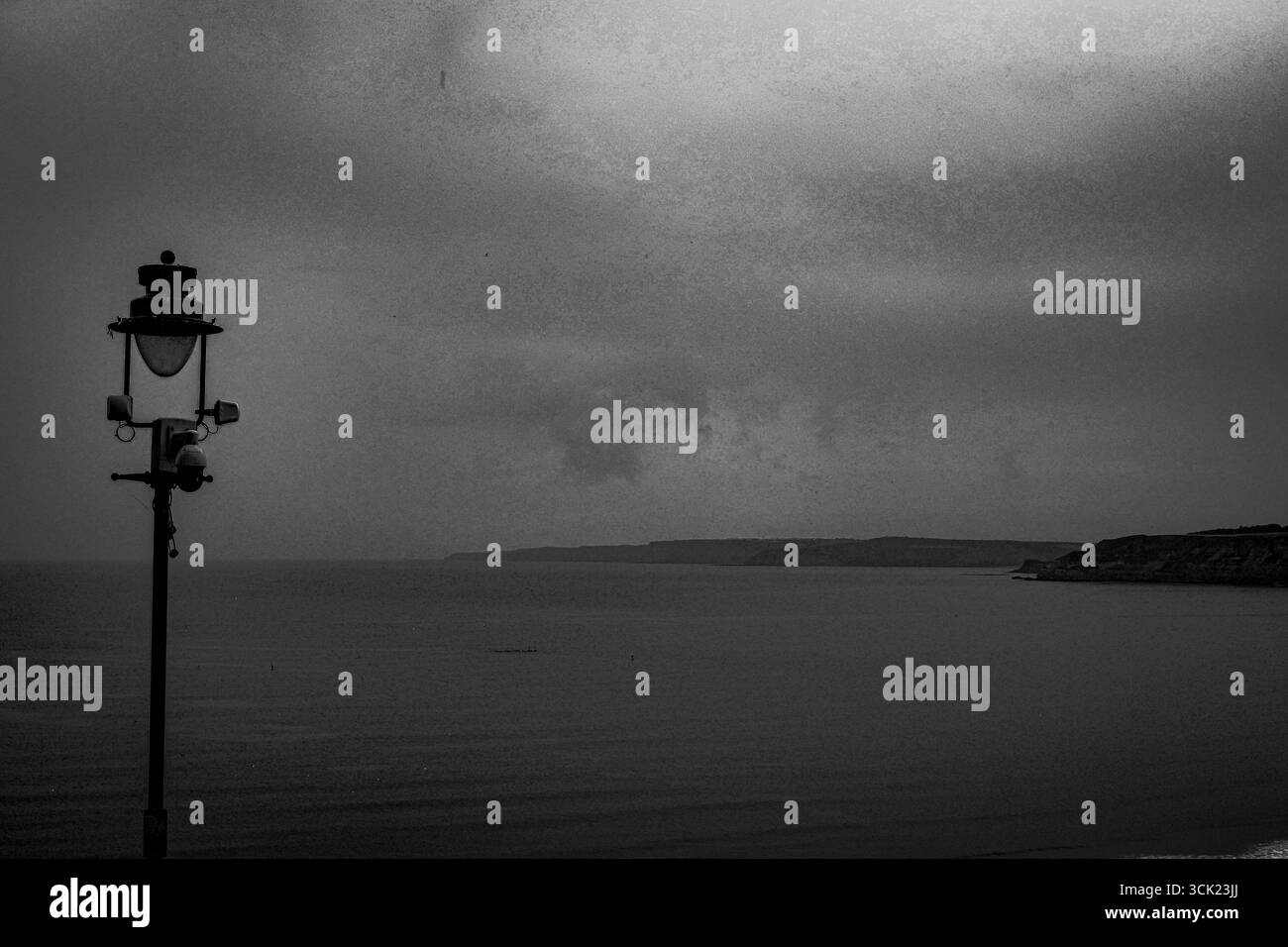 Lampadaire et bout de champ éloigné en noir et blanc Banque D'Images
