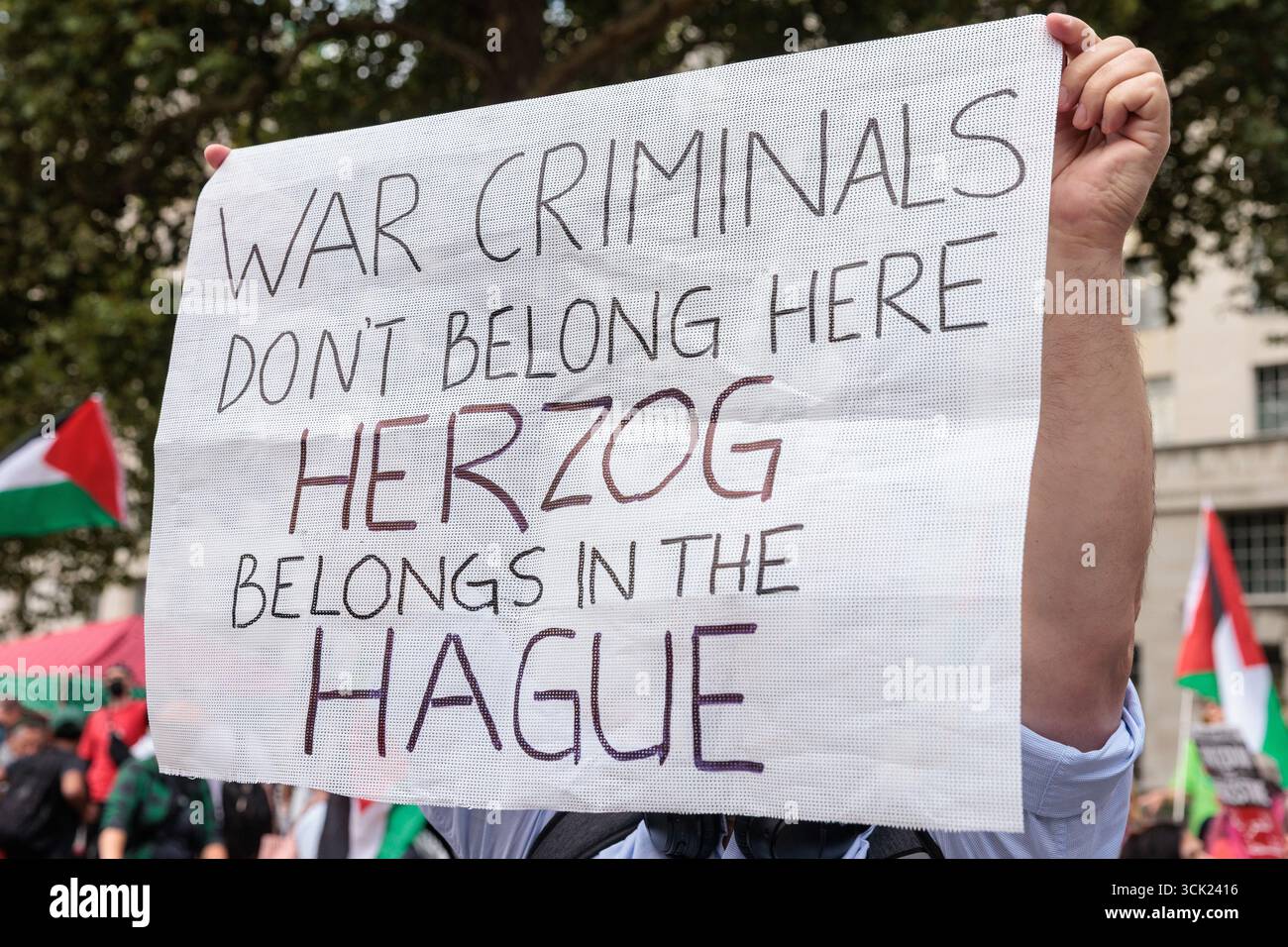 Londres, Royaume-Uni. 9 septembre 2025. Un activiste pro-palestinien assiste à une manifestation en face de Downing Street contre la visite au Royaume-Uni du président israélien Isaac Herzog. Les manifestants ont appelé à l'arrestation du président israélien, cité dans une ordonnance de la Cour internationale de Justice appelant à des mesures provisoires contre Israël pour protéger les Palestiniens de Gaza contre le génocide, et ont critiqué le premier ministre britannique Sir Keir Starmer pour avoir autorisé sa visite. Le président Herzog devrait rencontrer le premier ministre britannique lors d'une visite de trois jours. Crédit : Mark Kerrison/Alamy Live News Banque D'Images