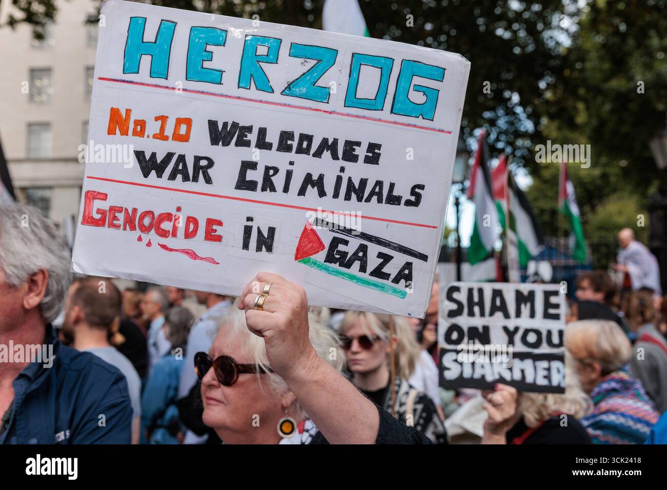 Londres, Royaume-Uni. 9 septembre 2025. Des militants pro-palestiniens assistent à une manifestation en face de Downing Street contre la visite au Royaume-Uni du président israélien Isaac Herzog. Les manifestants ont appelé à l'arrestation du président israélien, cité dans une ordonnance de la Cour internationale de Justice appelant à des mesures provisoires contre Israël pour protéger les Palestiniens de Gaza contre le génocide, et ont critiqué le premier ministre britannique Sir Keir Starmer pour avoir autorisé sa visite. Le président Herzog devrait rencontrer le premier ministre britannique lors d'une visite de trois jours. Crédit : Mark Kerrison/Alamy Live News Banque D'Images