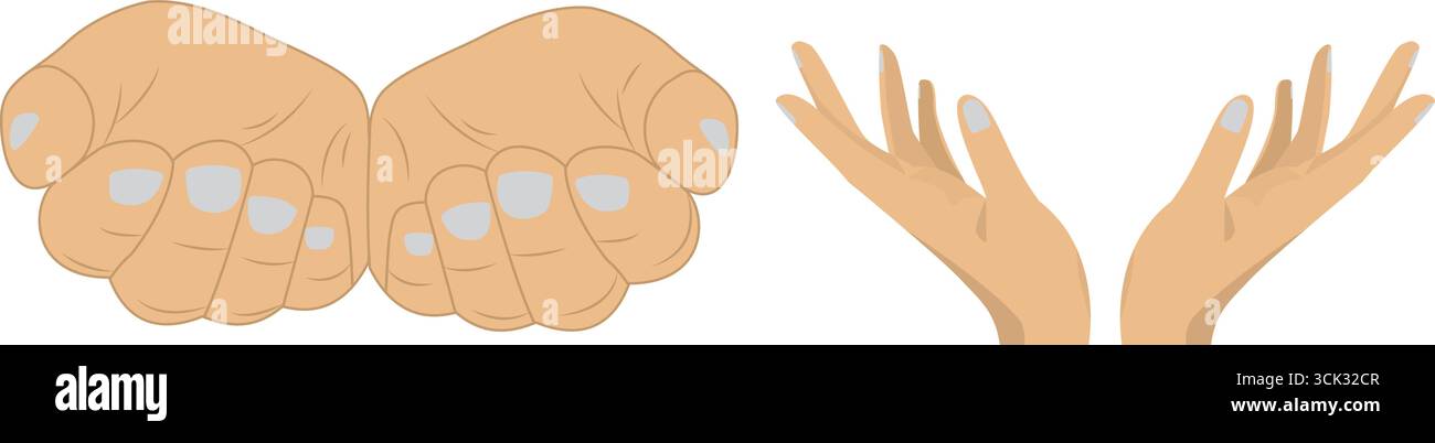 Illustration vectorielle de mains humaines ouvertes et de paumes dans différentes positions, montrant des gestes masculins et féminins sur fond blanc. Illustration de Vecteur