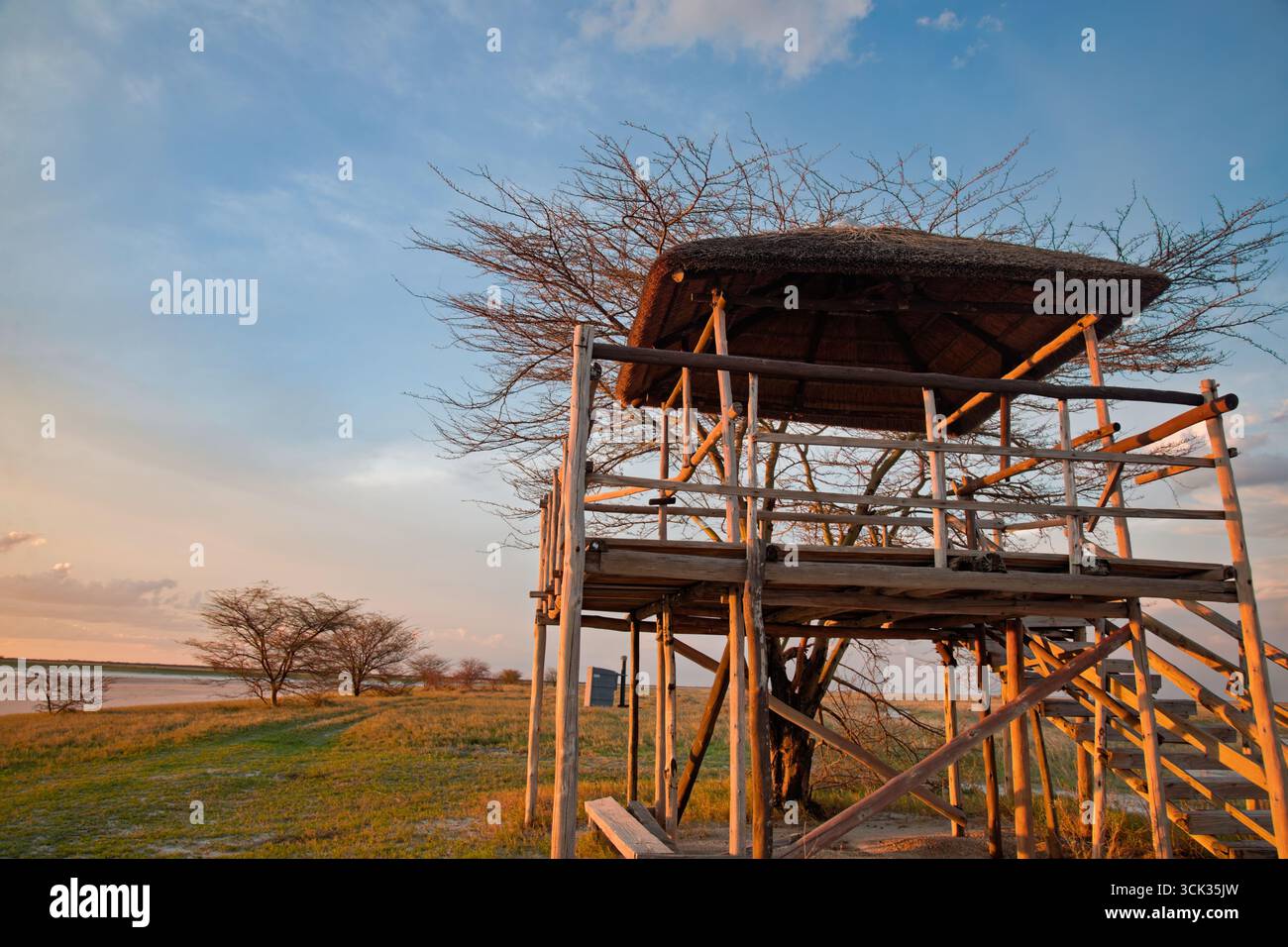 tourisme africain, tour d'observation en bois avec toit de chaume, cachette de plate-forme, vue surélevée sur les plaines avec des acacia et du sable Banque D'Images