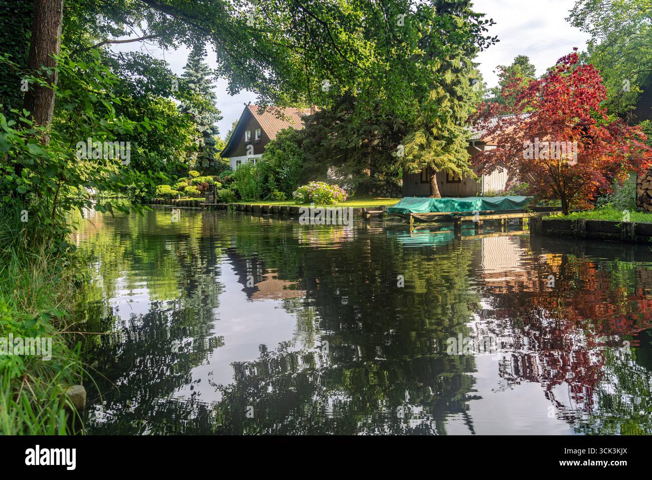 Kanal oder Spreewaldfließ im Spreewald BEI Lübbenau / Spreewald, Brandenburg, Deutschland | Spree Forest canal in Lübbenau / Spreewald, Brandebourg, Banque D'Images