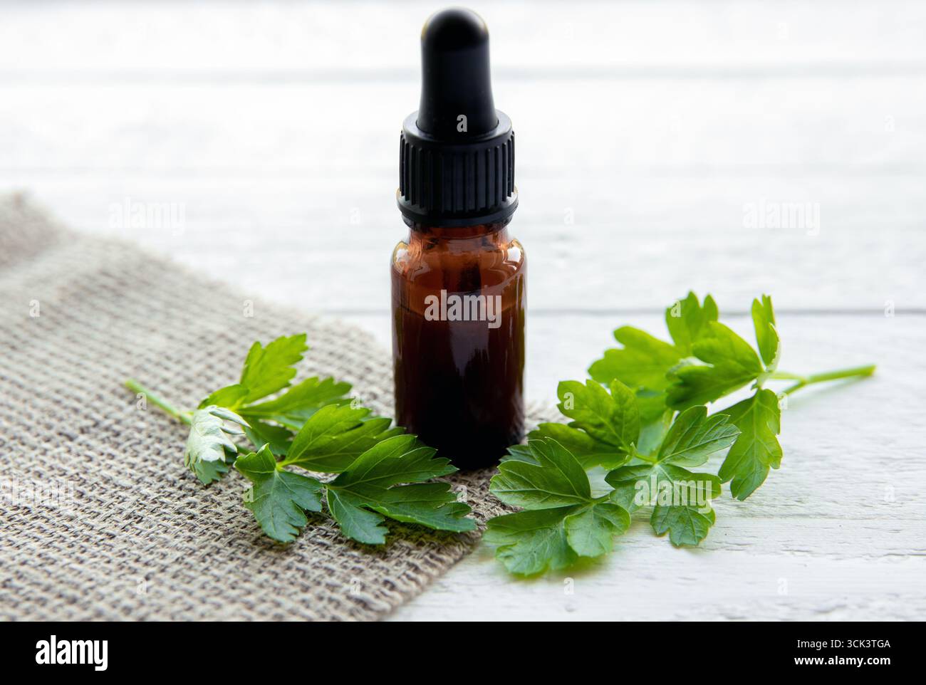 Vue latérale de teinture médicinale à base de plantes maison faite à partir de persil Petroselinum crispum. Composition pour flacon pipette à feuilles vertes et marron. Banque D'Images