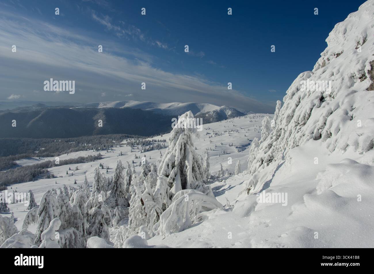 Vue des arbres enneigés accrochés à la montagne, sous un ciel bleu avec des nuages tortueux au loin, montagnes Velka Fatra, Liptovské Revúce, région de Žilina, Slovaquie. Banque D'Images