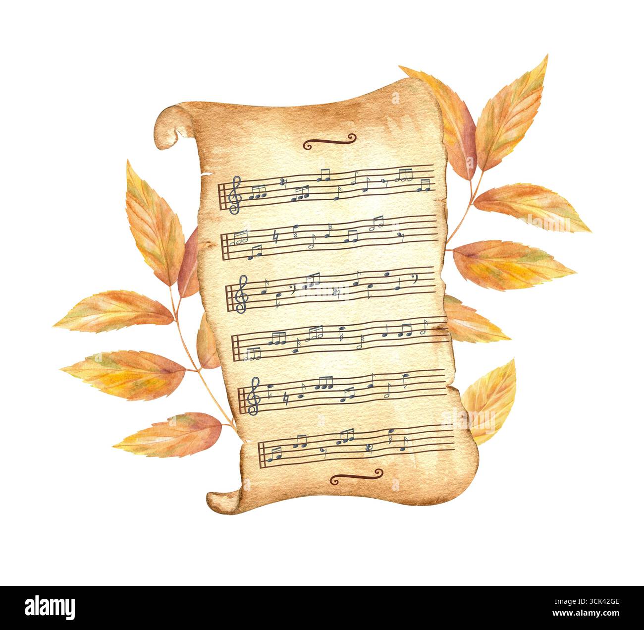 Notes de musique sur le rouleau de papier jauni vieilli et l'illustration aquarelle de feuilles dorées sur fond isolé dans le style vintage. Branches de frêne Banque D'Images
