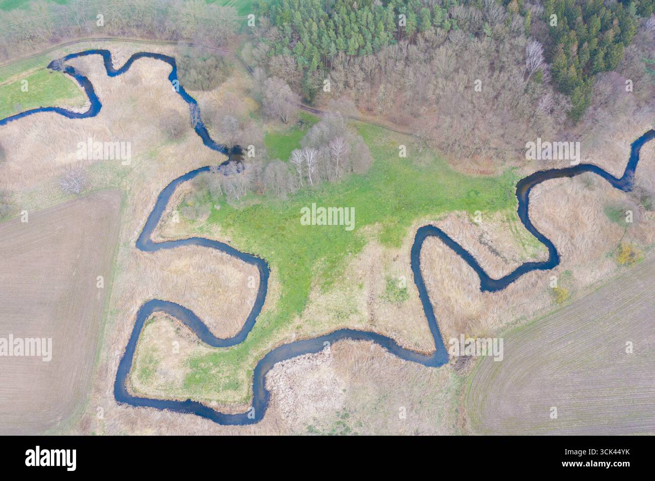 Cours naturel de la rivière Radegast, Mecklenburg-Vorpommern, Allemagne Banque D'Images