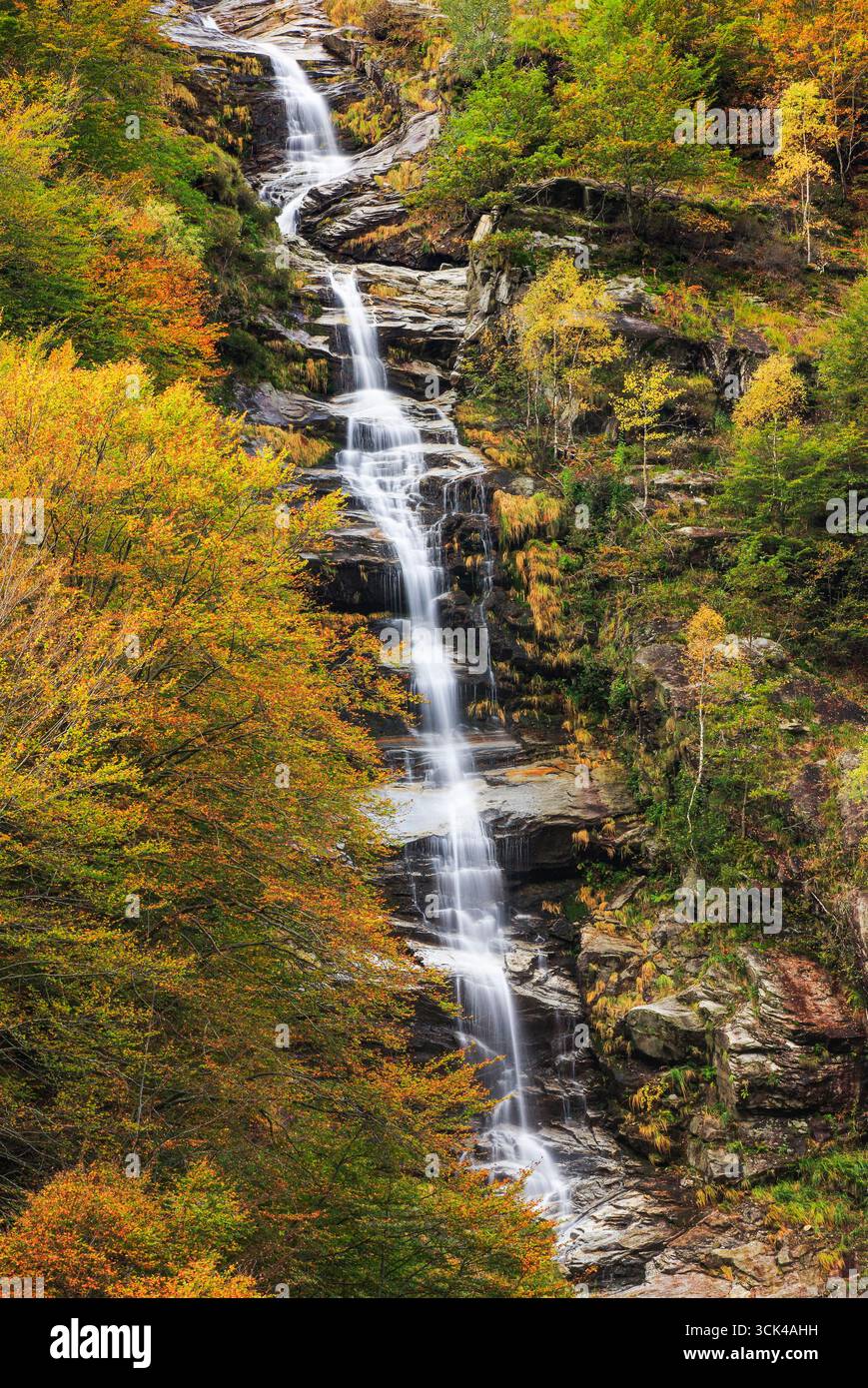 Cascade dans la vallée de la rivière Verzasca. Tessin, Suisse Banque D'Images