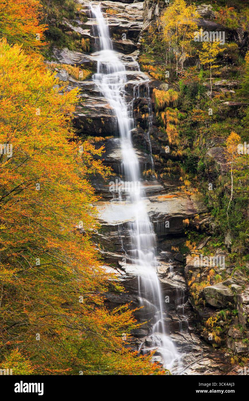 Cascade dans la vallée de la rivière Verzasca. Tessin, Suisse Banque D'Images