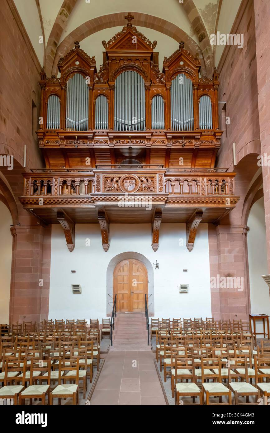 Orgue à tuyaux dans l'abbaye romane de Murbach en Alsace, France. L'église abbatiale de Murbach est dédiée à Saint Léodegar d'Autun et était le CHU principal Banque D'Images