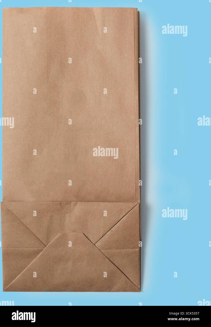 Un sac en papier brun ordinaire, couramment utilisé pour transporter de la nourriture ou de l'épicerie. Banque D'Images