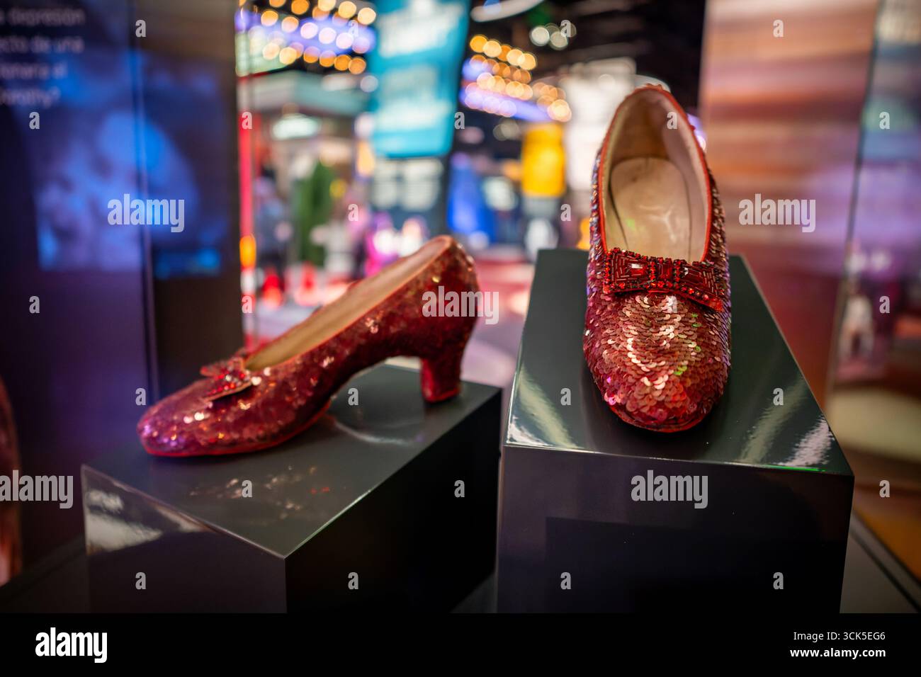 Smithsonian National Museum of American History Dorothy Ruby Slippers Washington DC | WASHINGTON D.C., États-Unis — les pantoufles en rubis de Dorothy de 'The Wizard of Oz' (1939) sont exposées sur les piédestaux de l'exposition Entertainment Nation au Smithsonian National Museum of American History. Les pompes à paillettes, parmi les artefacts les plus visités du musée, ancrent une collection de souvenirs de cinéma, de télévision, de musique et de sport. Les panneaux de texte bilingues en arrière-plan reflètent la présentation espagnol-anglais de l'exposition. Banque D'Images