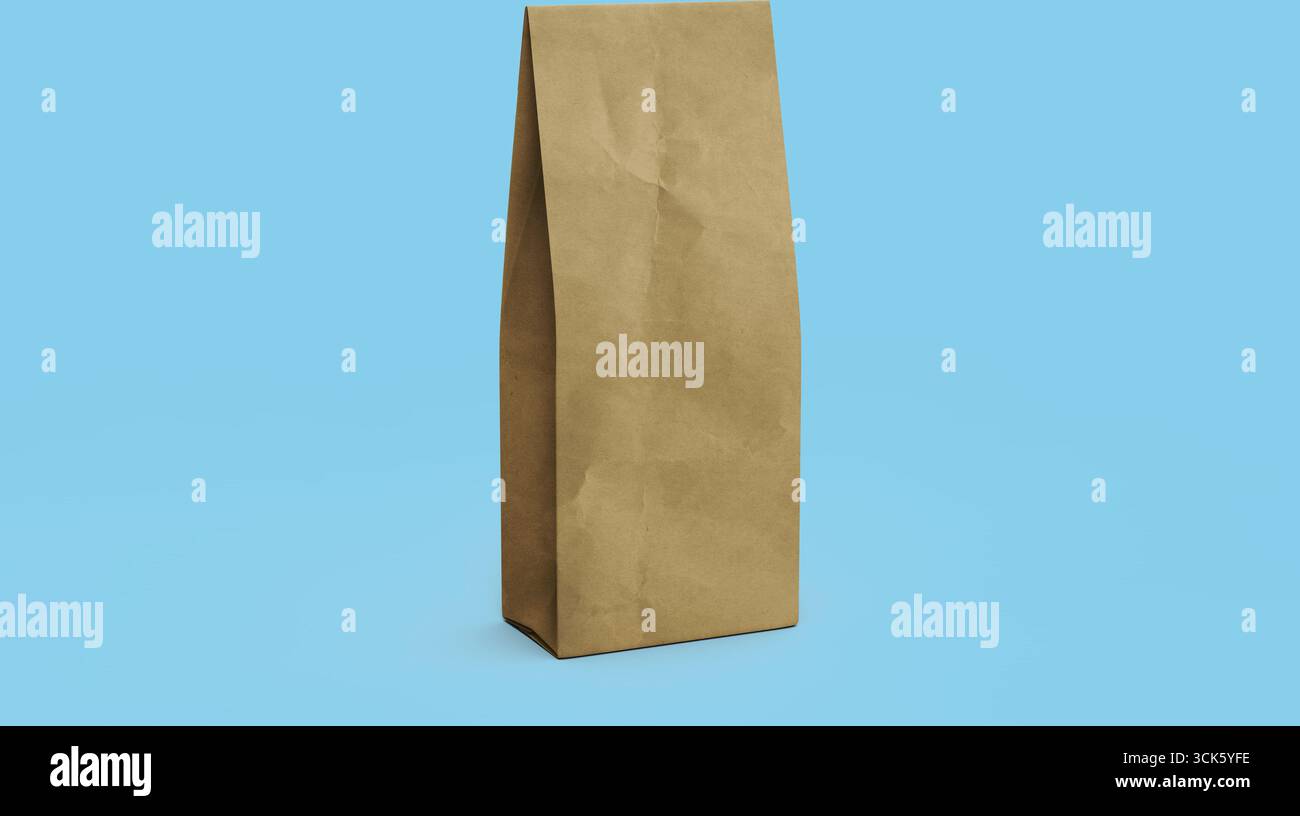 Sac en papier brun ordinaire, généralement utilisé pour transporter de la nourriture ou de l'épicerie. Banque D'Images