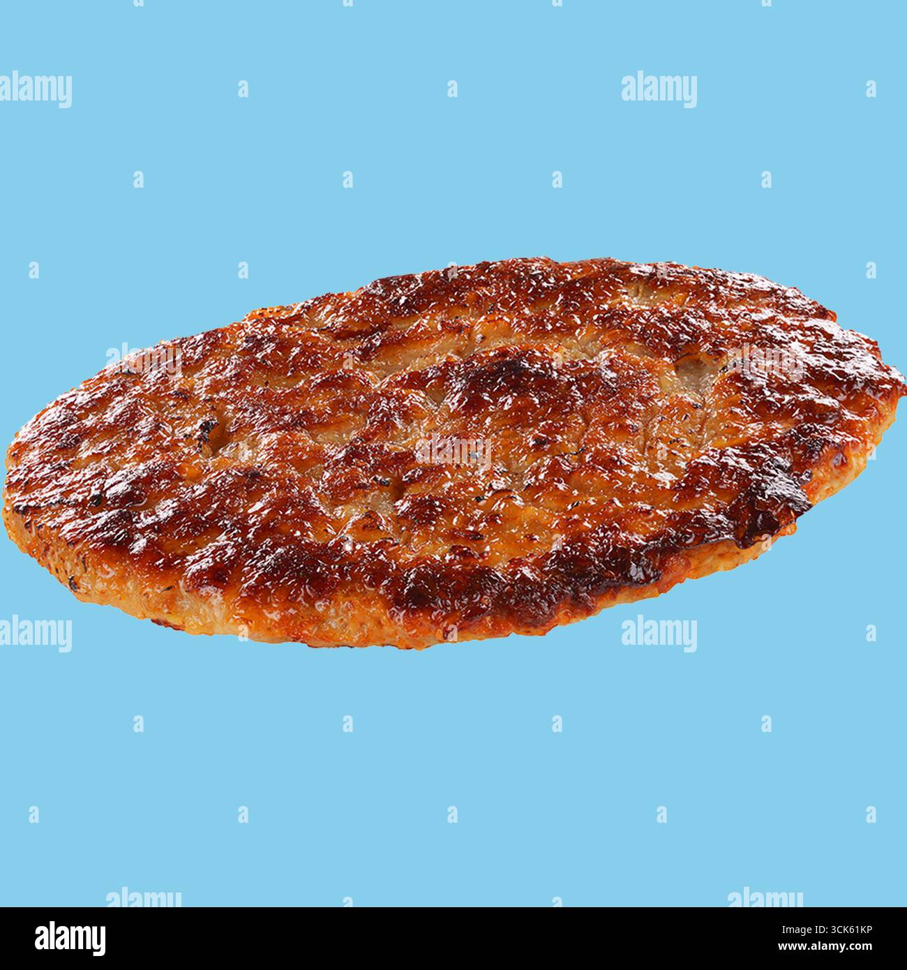 Une galette délicieusement grillée, probablement à base de viande, présentant une surface croustillante et carbonisée. Parfait pour les repas ou les collations. Banque D'Images