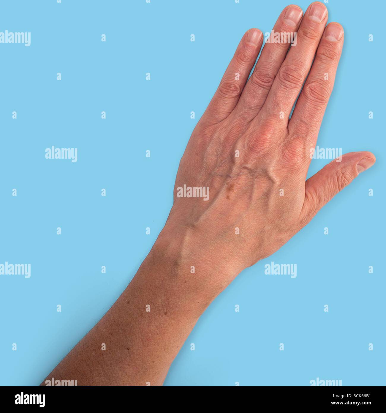 Une main humaine levée avec les doigts tendus, montrant la paume et le poignet. Banque D'Images