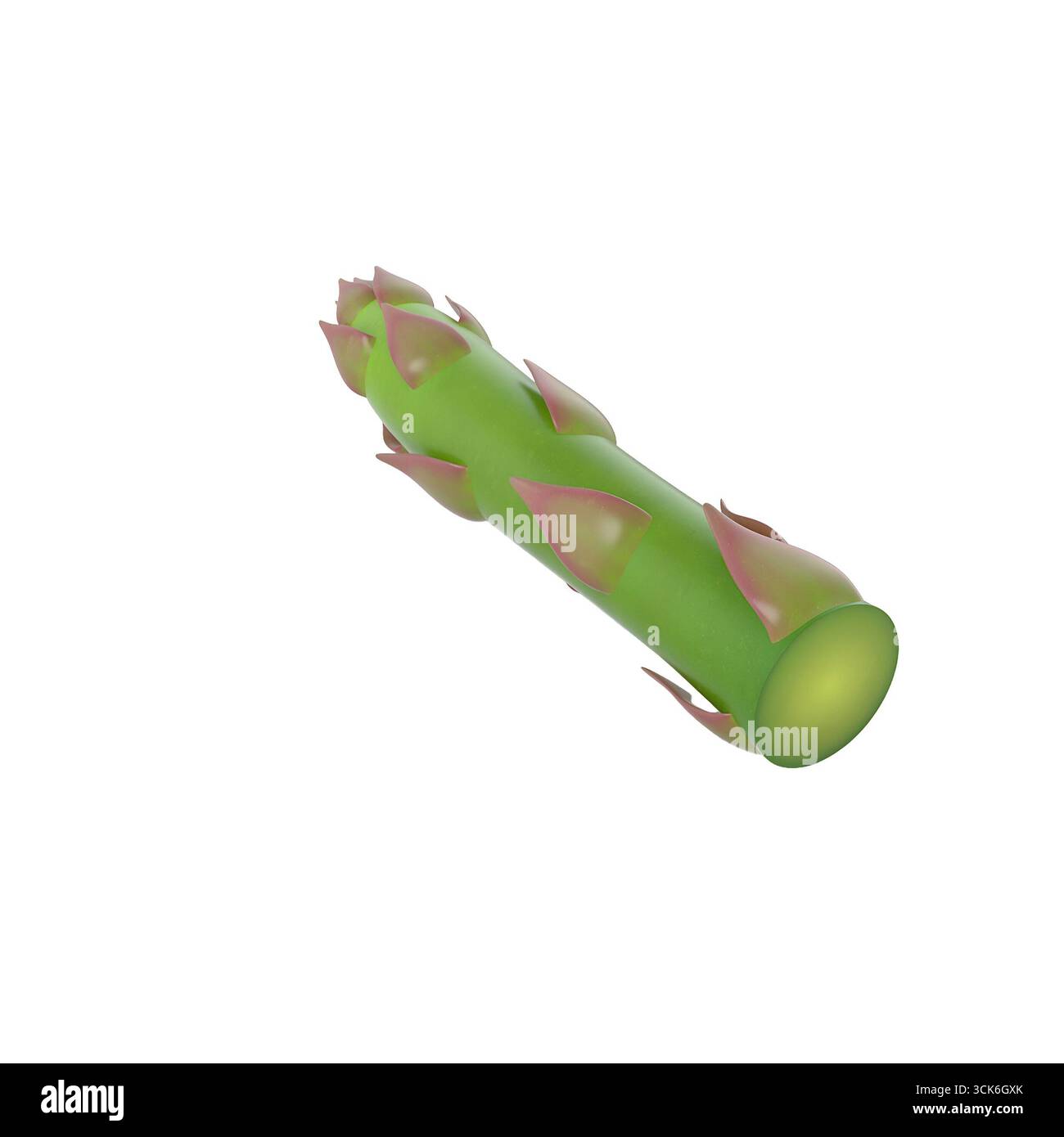 Une tige de plante verte stylisée avec des pointes roses, ressemblant à un élément botanique, éventuellement à des fins de conception ou d'éducation. Banque D'Images
