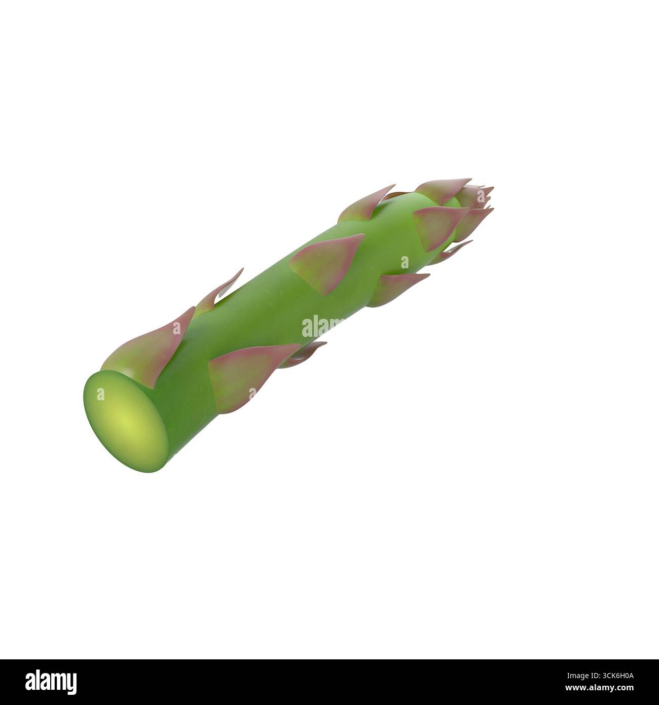 Une plante verte stylisée avec des pointes roses, ressemblant à un élément botanique ou une pièce d'art abstrait. Banque D'Images